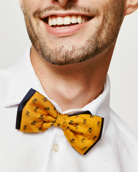 yellow and marine blue bowtie for men